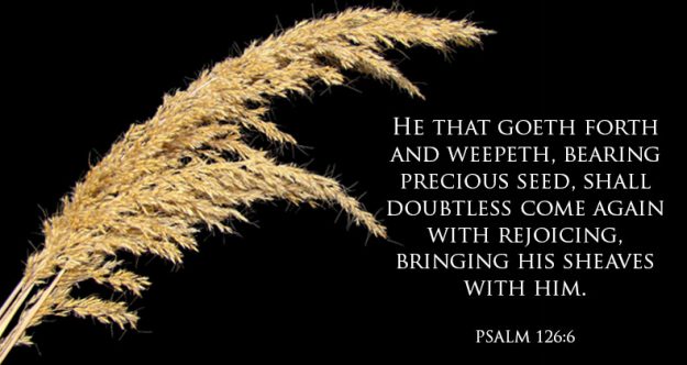 psalm126-6 psalm126-6