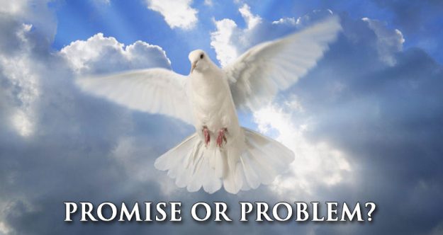 promise-or-problem promise-or-problem image