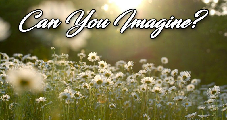 can-you-imagine