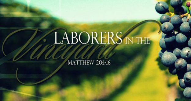 lanorers-in-the-vineyard Laborers in the Vineyard blog header