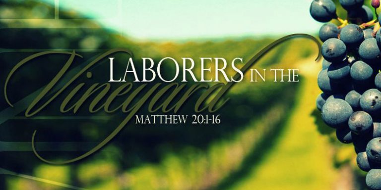 Laborers in the Vineyard blog header