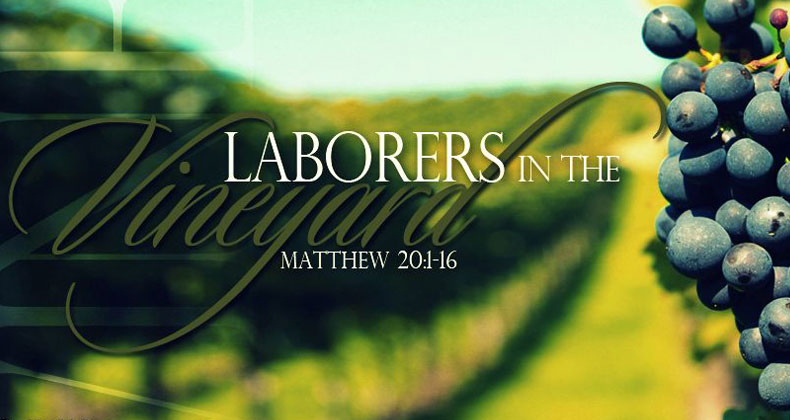 lanorers-in-the-vineyard Laborers in the Vineyard blog header