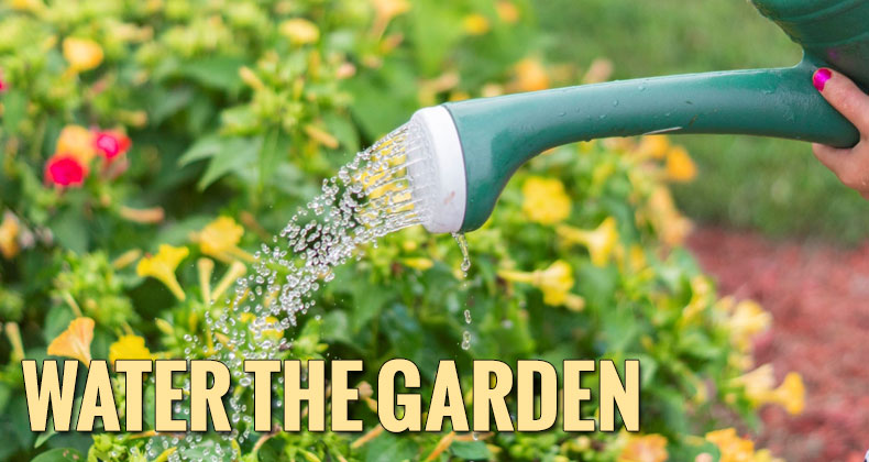 water-the-garden Water the garden blog head image