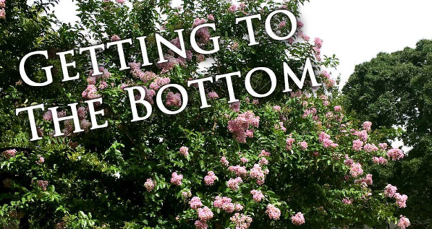 geting-to-the-bottom Blog Head Image