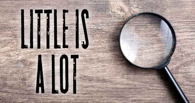 little-alot blog head image