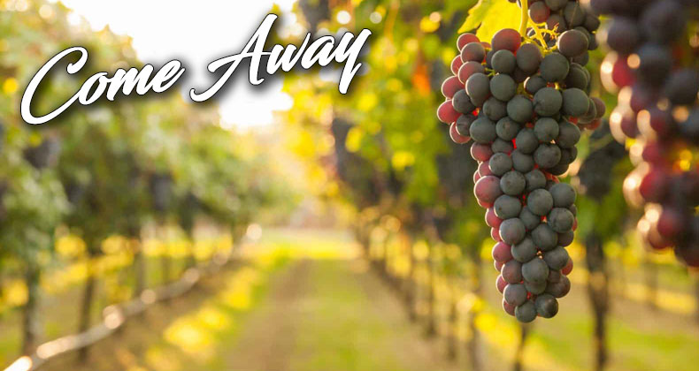 come-away blog head image