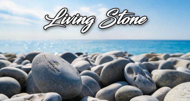 living-stone Blog Head Image