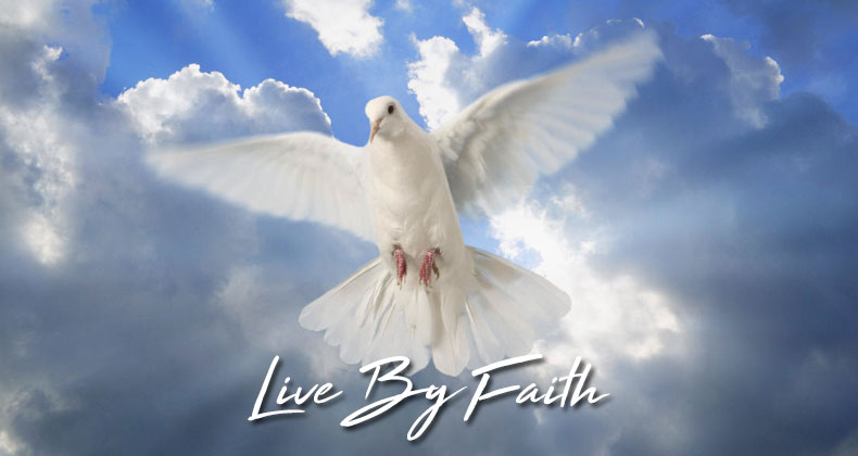 live-by-faith Blog Head Image