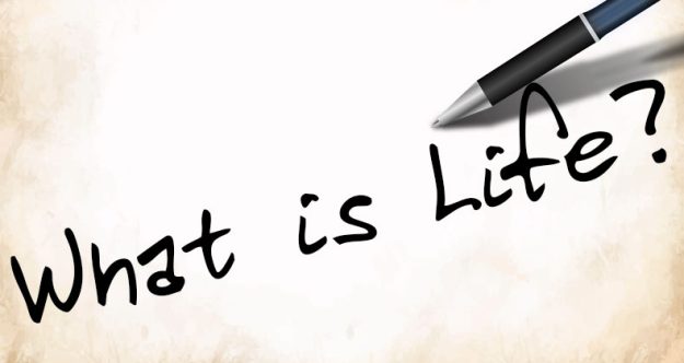 what-is-life blog head image