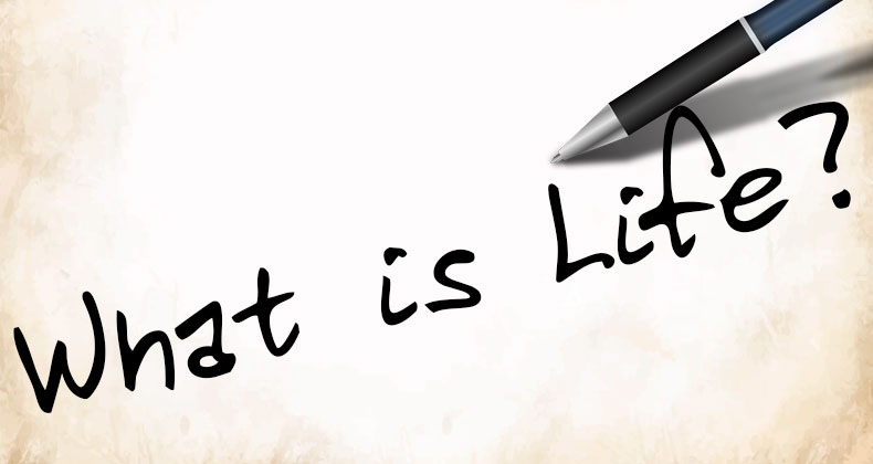 what-is-life blog head image